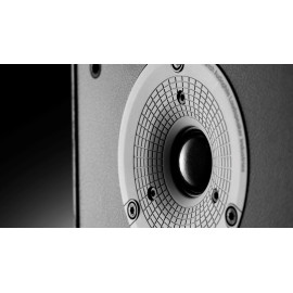 Dali Spektor Vokal Center ( Yeni Ürün ) 